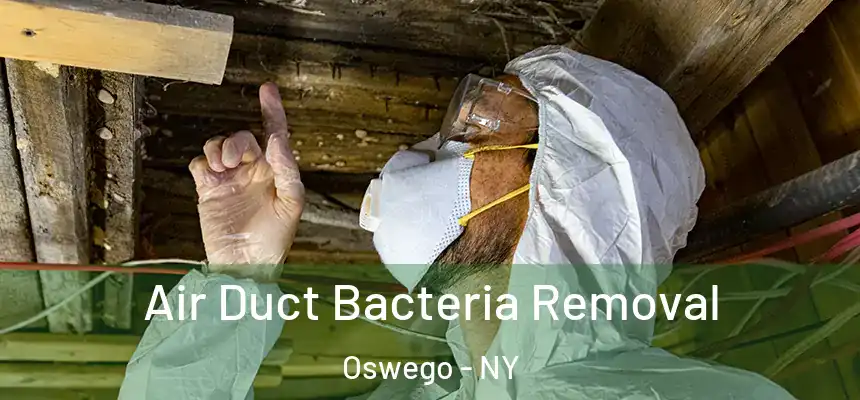  Air Duct Bacteria Removal Oswego - NY