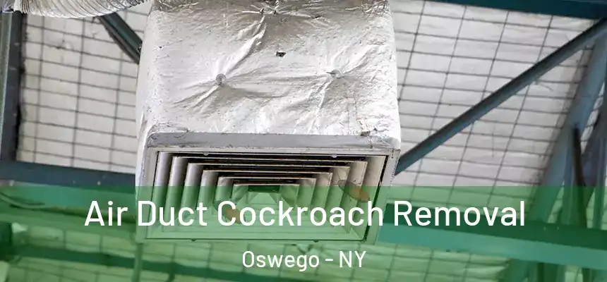 Air Duct Cockroach Removal Oswego - NY