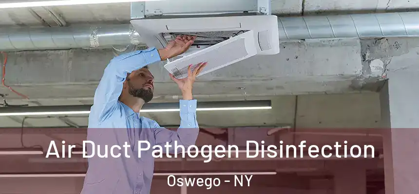 Air Duct Pathogen Disinfection Oswego - NY
