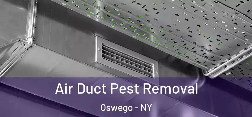  Air Duct Pest Removal Oswego - NY