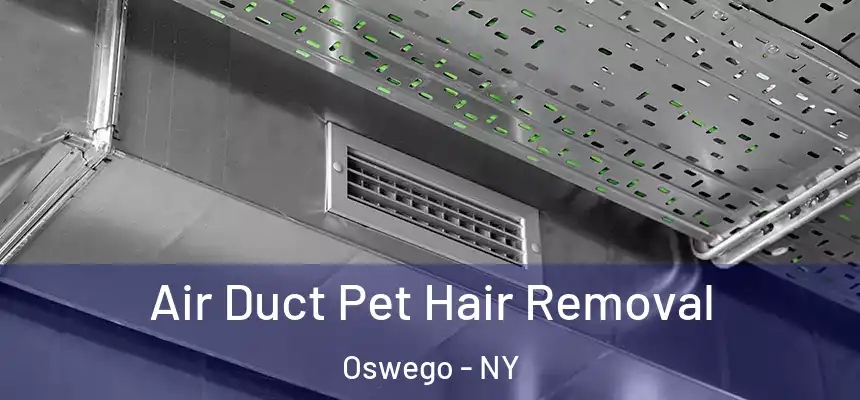 Air Duct Pet Hair Removal Oswego - NY