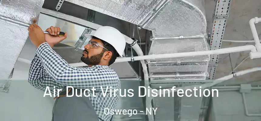  Air Duct Virus Disinfection Oswego - NY