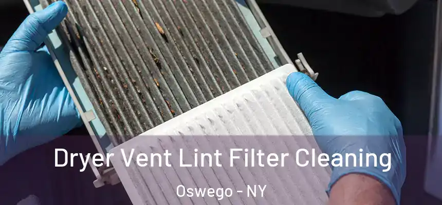 Dryer Vent Lint Filter Cleaning Oswego - NY