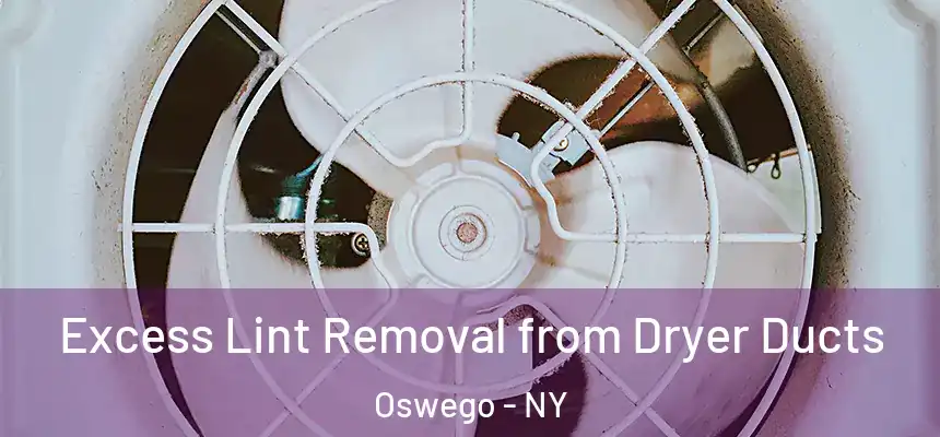 Excess Lint Removal from Dryer Ducts Oswego - NY