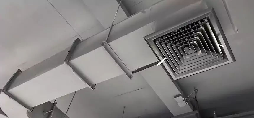 Restorative Allergy Relief Vent Cleaning – Coil, Blower & Housing Detail in Oswego