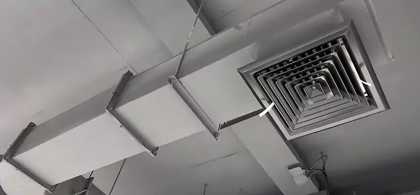 Our Pest Removal From Ducts Services in Oswego, NY