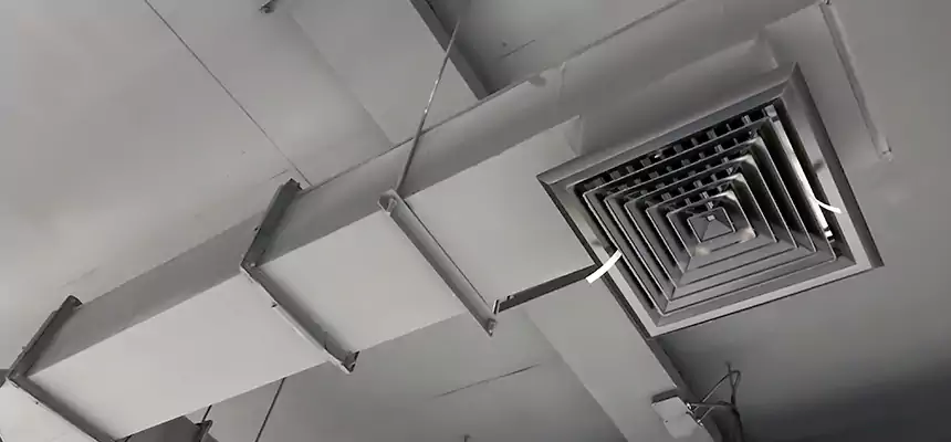 Our Rodent Droppings In Vents Services in Oswego, NY