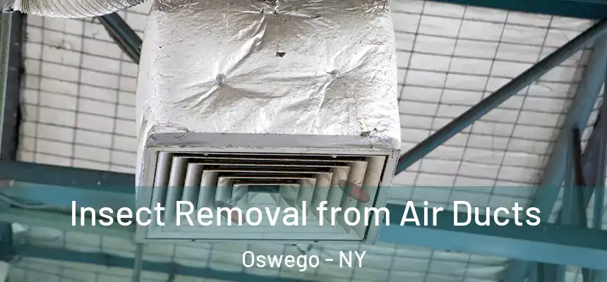 Insect Removal from Air Ducts Oswego - NY