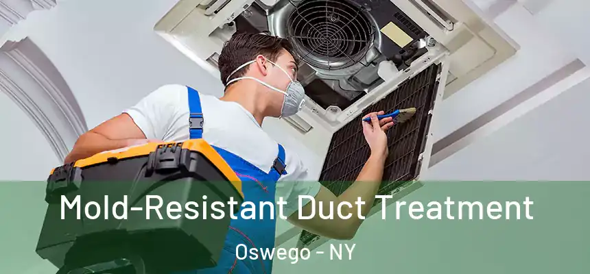  Mold-Resistant Duct Treatment Oswego - NY