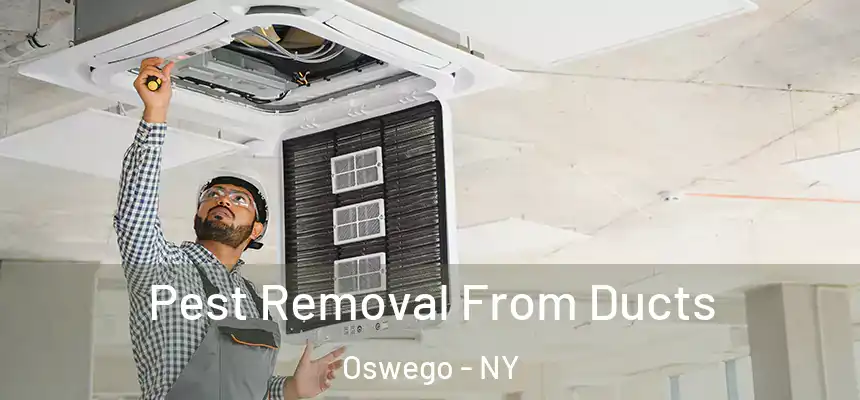 Pest Removal From Ducts Oswego - NY