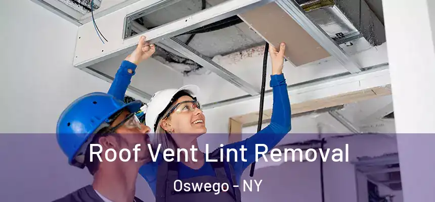 Roof Vent Lint Removal Oswego - NY