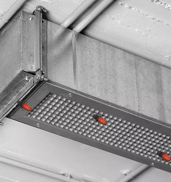 About Air Duct Cockroach Removal in Oswego, NY