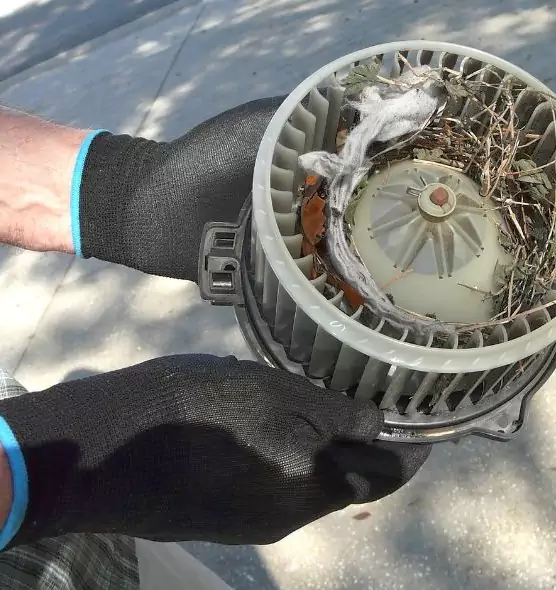 About Air Duct Rat Removal in Oswego, NY