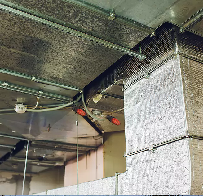 Why Homeowners & Businesses Trust Us in Oswego, NY?