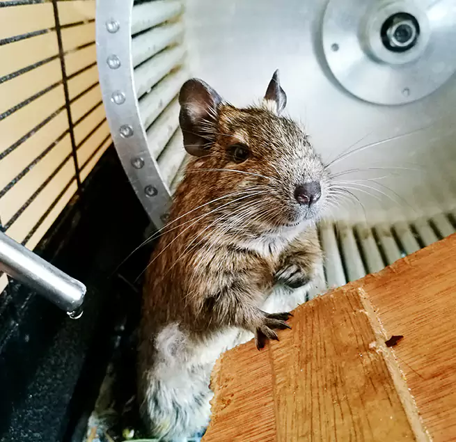 Why Homeowners & Businesses Trust Us Oswego, NY