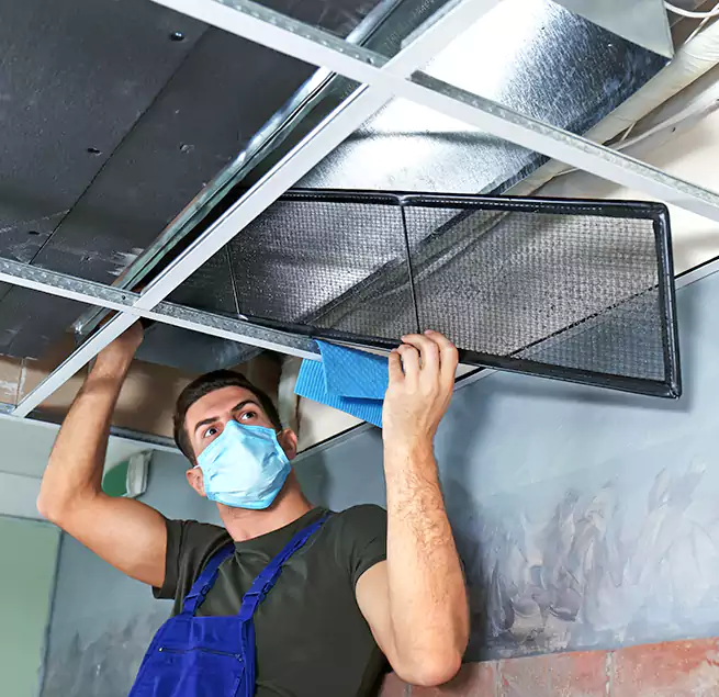 Why Homeowners Businesses Trust Us in Oswego, NY